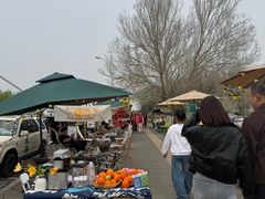 -莫子山公园