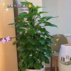 -伊然科技美肤·健康管理中心