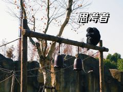 -上海野生动物园
