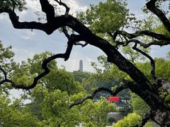 -江心屿景区