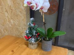 -Rabbit Cafe私房西餐甜点咖啡(栖霞路店)