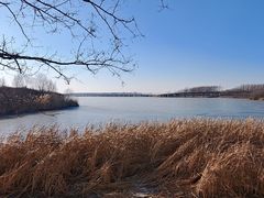 -丁香湖公园