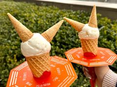 -极拉图·现制冰淇淋(大卫城店)