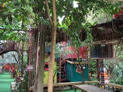 -呀路古热带植物园
