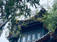 -荔湾湖公园