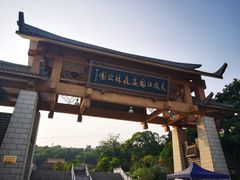 -南宁良凤江国家森林公园