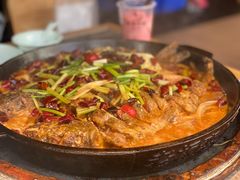 -老板恋上鱼(恒隆广场店)