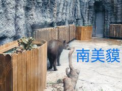 -武汉动物园