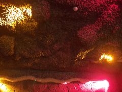 -碧中海汤泉汗蒸酒店