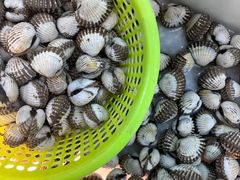 -沈家门小海鲜