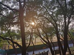 -上海佘山国家森林公园天马山园