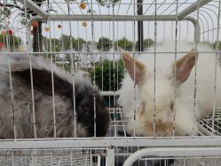 -DORA kids 朵拉儿童摄影花园店