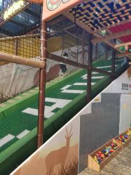 点击看大图 -卡通尼·Safari非洲探索乐园·生日会(金桥国际商业广场店)