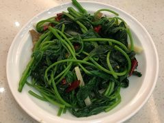 -潮庭港式茶餐厅·熊仔奶茶(同济广场店)