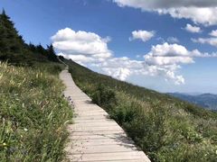 -白草畔自然风景区