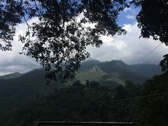 -清迈丛林飞跃 JungleFlight