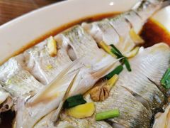 红烧鲈鱼-老马家·舌尖上的西塘美食