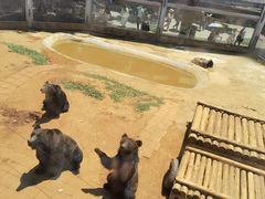 -昆明动物园