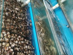 -港畔赶海蒸汽海鲜烧烤自助(仙螺岛店)