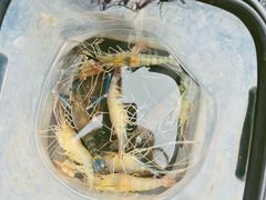 -DGE季风钓虾营地·团建·聚会