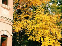 -北京动物园-畅观楼