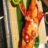 深圳探店｜民煮料理，好吃的日本料理