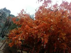 -郑州方特梦幻王国