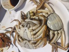 -半岛听涛蒸汽海鲜自助(K11店)