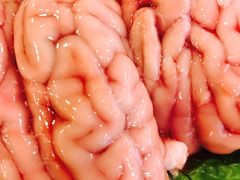 -朱氏胖子烂火锅(洪崖洞店)