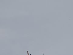 -杭州萧山国际机场