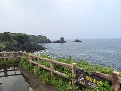 -涉地可支