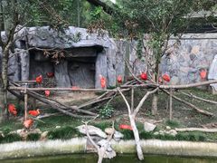 -上海野生动物园