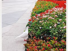 -成都华侨城欢乐里