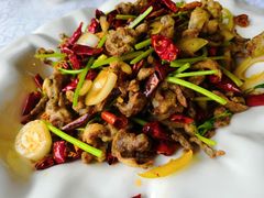 -津悦·正阳春烤鸭(红旗南路店)