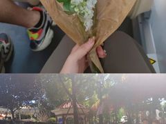-国色天乡三期陆地乐园