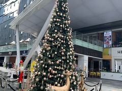 -HALO广场(梨园路店)