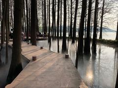 -东湖落雁景区