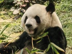 -石排湾郊野公园