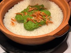 -新兴·金羊座·粤菜点心(乐峰店)