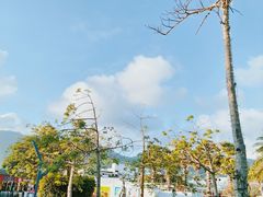 -亚龙湾中心广场