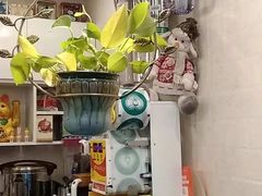 -九秋茶铺(三里屯店)