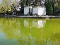 -团结湖公园