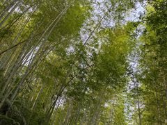 -千泷沟大瀑布旅游区