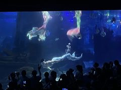 -江和美海洋公园
