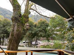 -随意茶庄·地道杭帮农家菜(梅家坞店)