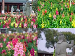 -仙岳公园