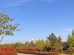 -青岛方特梦幻王国