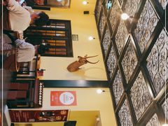 -普兰达德国餐厅·德式脆皮烤猪肘·自酿啤酒(观唐店)