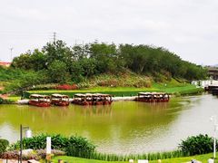 -江门古劳水乡旅游区
