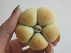 -吴记·吴酥生PASTRY宫廷酥饼